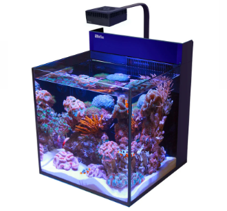 Aquariums