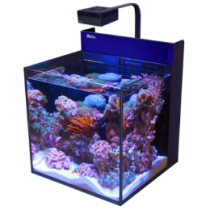 aquariums