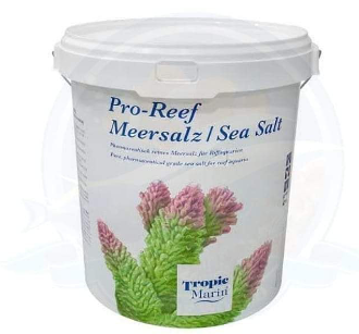 Salt